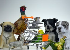 pet food shopping