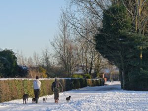 snow walking