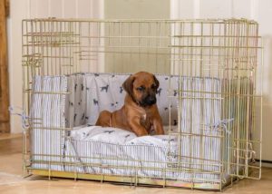 Luxury Dog Cage
