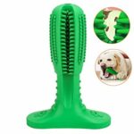 Dog Toothbrush Toy